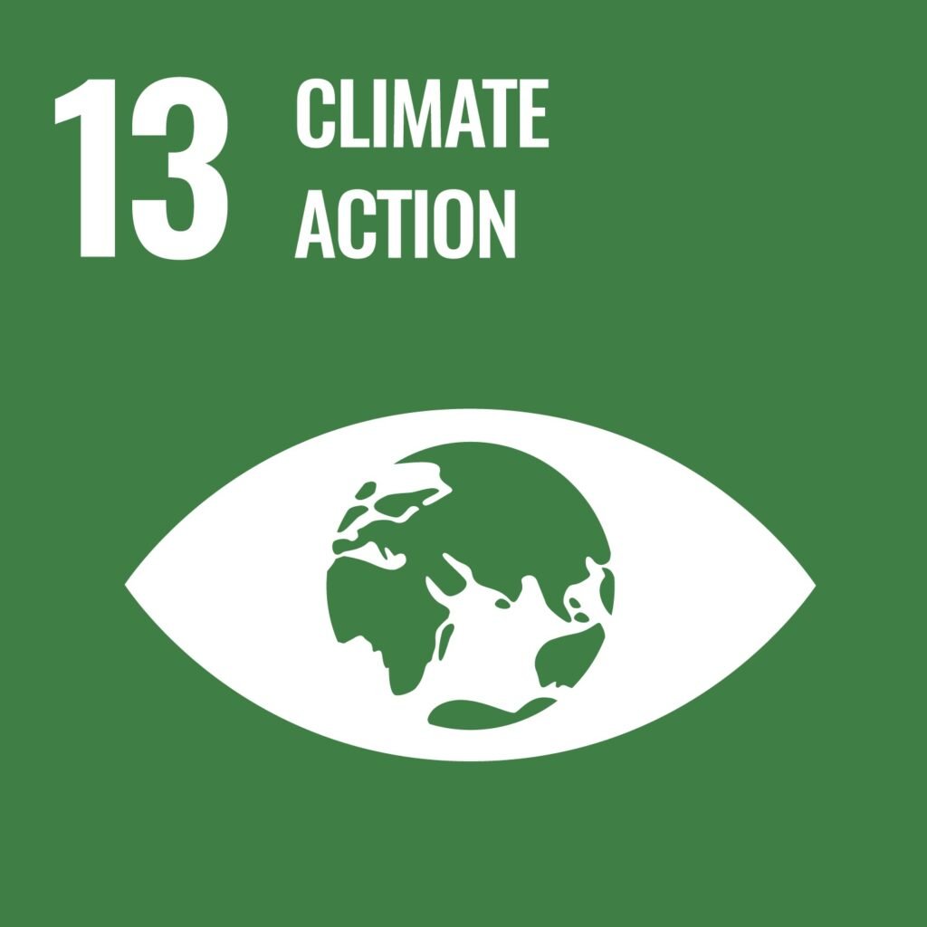 Icoon van SDG 13: een oog met een wereldbol erin, symbool voor wereldwijde actie tegen klimaatverandering